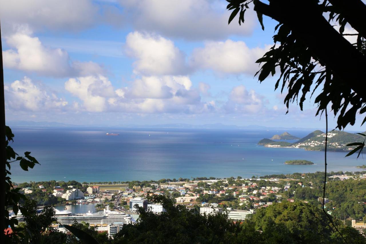 Pink Plantation House Hotell Castries Eksteriør bilde